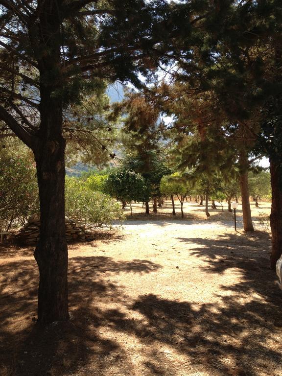 Holiday home La Giara San Vito Lo Capo *